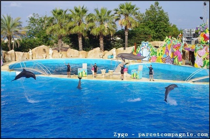 Marineland - Dauphins - Spectacle - 18h00 - 0528