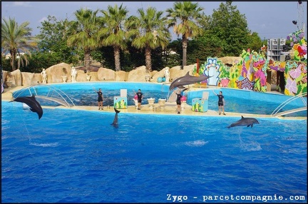 Marineland - Dauphins - Spectacle - 18h00 - 0529