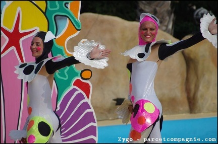 Marineland - Dauphins - Spectacle - 18h00 - 0530