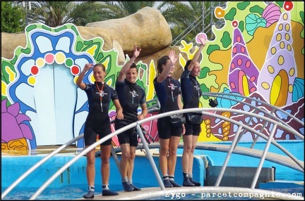Marineland - Dauphins - Spectacle - 18h00 - 0533