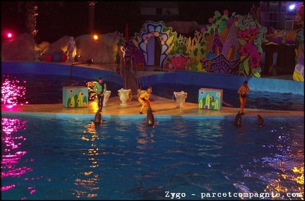 Marineland - Dauphins - Spectacle nocturne - 0540