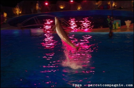 Marineland - Dauphins - Spectacle nocturne - 0544
