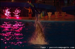 Marineland - Dauphins - Spectacle nocturne - 0547