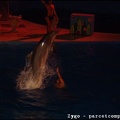 Marineland - Dauphins - Spectacle nocturne - 0560
