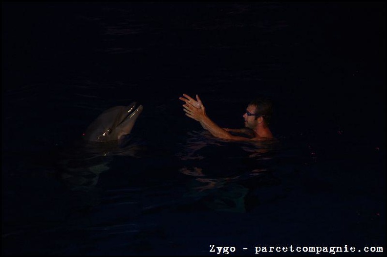 Marineland - Dauphins - Spectacle nocturne - 0564