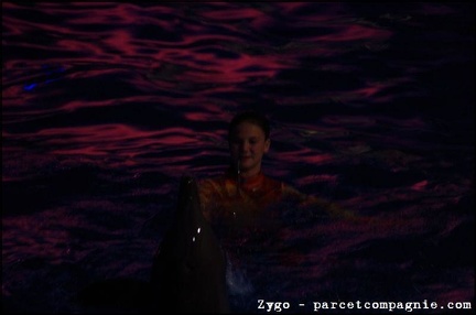 Marineland - Dauphins - Spectacle nocturne - 0572