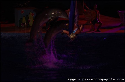 Marineland - Dauphins - Spectacle nocturne - 0590