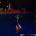 Marineland - Dauphins - Spectacle nocturne - 0592