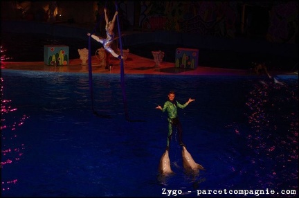 Marineland - Dauphins - Spectacle nocturne - 0596