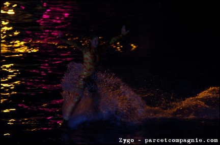 Marineland - Dauphins - Spectacle nocturne - 0598
