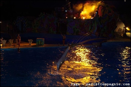 Marineland - Dauphins - Spectacle nocturne - 0601