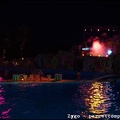 Marineland - Dauphins - Spectacle nocturne - 0604