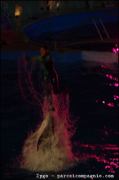Marineland - Dauphins - Spectacle nocturne - 0605