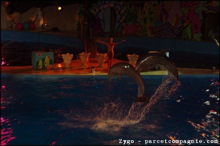 Marineland - Dauphins - Spectacle nocturne - 0607