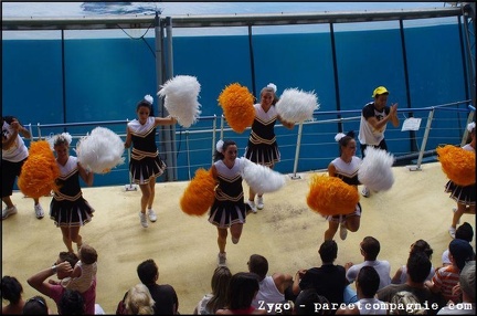 Marineland - Orques - Spectacle - 14h45 - 0712