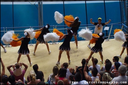Marineland - Orques - Spectacle - 14h45 - 0713