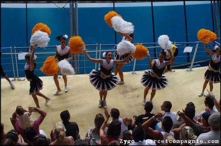 Marineland - Orques - Spectacle - 14h45 - 0714
