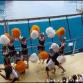 Marineland - Orques - Spectacle - 14h45 - 0722