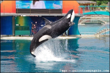 Marineland - Orques - Spectacle - 14h45 - 0725