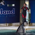 Marineland - Orques - Spectacle - 14h45 - 0728