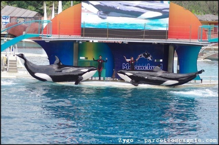 Marineland - Orques - Spectacle - 14h45 - 0729