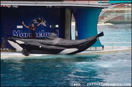 Marineland - Orques - Spectacle - 14h45 - 0730