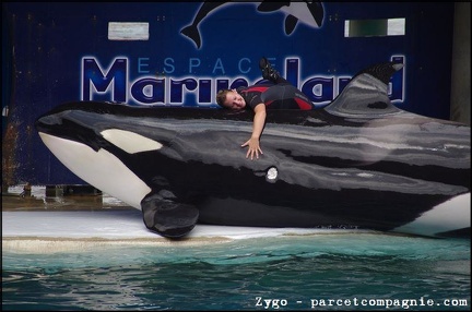 Marineland - Orques - Spectacle - 14h45 - 0731