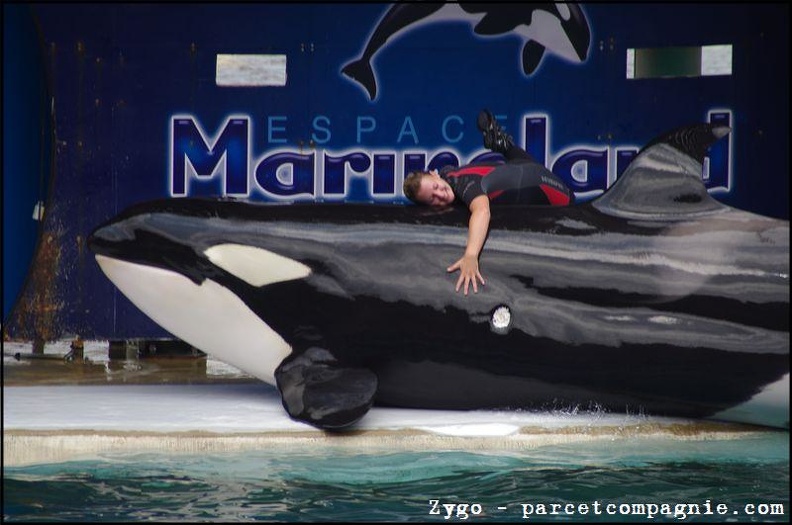 Marineland - Orques - Spectacle - 14h45 - 0732