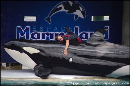 Marineland - Orques - Spectacle - 14h45 - 0733