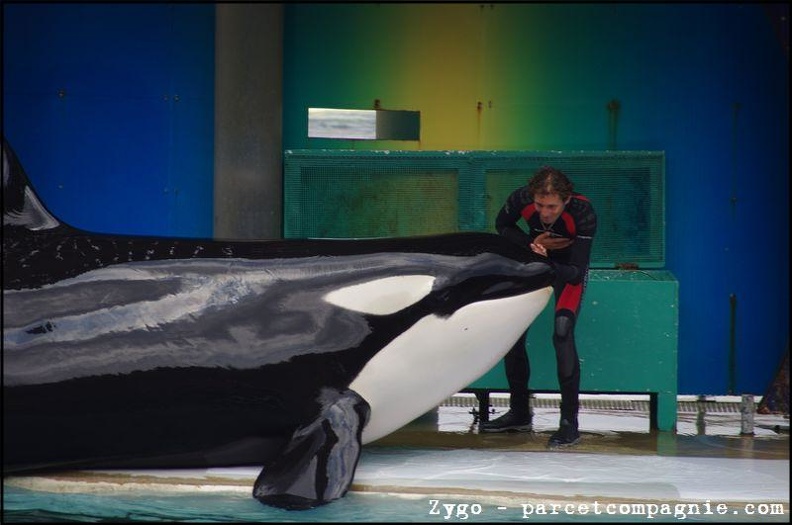 Marineland - Orques - Spectacle - 14h45 - 0734