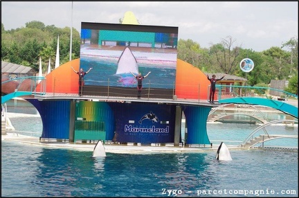 Marineland - Orques - Spectacle - 14h45 - 0741