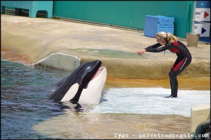 Marineland - Orques - Spectacle - 14h45 - 0744