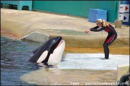 Marineland - Orques - Spectacle - 14h45 - 0745