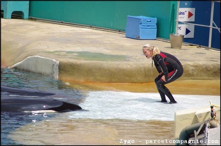 Marineland - Orques - Spectacle - 14h45 - 0746