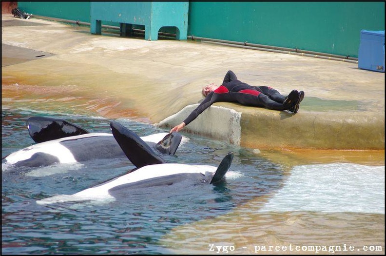 Marineland - Orques - Spectacle - 14h45 - 0747