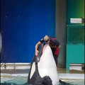 Marineland - Orques - Spectacle - 14h45 - 0752