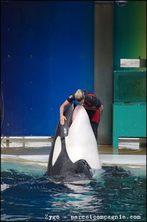 Marineland - Orques - Spectacle - 14h45 - 0754