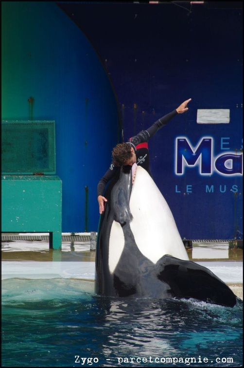 Marineland - Orques - Spectacle - 14h45 - 0755
