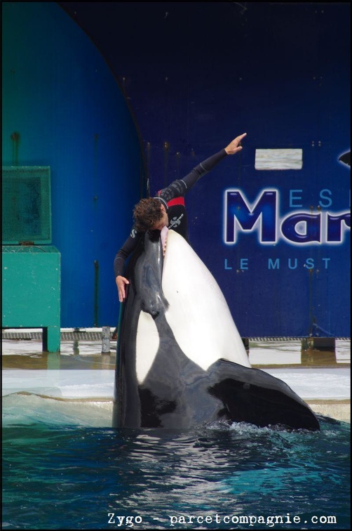 Marineland - Orques - Spectacle - 14h45 - 0756