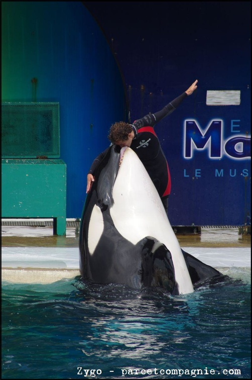 Marineland - Orques - Spectacle - 14h45 - 0758