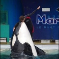 Marineland - Orques - Spectacle - 14h45 - 0759