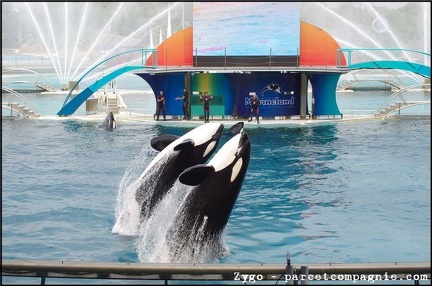 Marineland - Orques - Spectacle - 14h45 - 0775