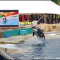 Marineland - Orques - Spectacle - 14h45 - 0779