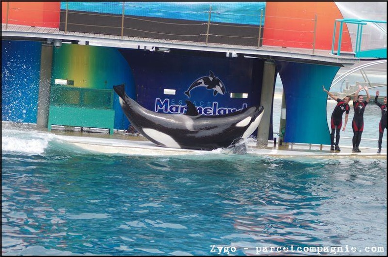 Marineland - Orques - Spectacle - 14h45 - 0783