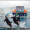 Marineland - Orques - Spectacle - 14h45 - 0786
