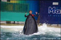 Marineland - Orques - Spectacle - 14h45 - 0793