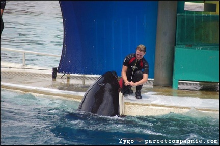 Marineland - Orques - Spectacle - 14h45 - 0794