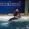 Marineland - Orques - Spectacle - 14h45 - 0795