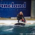 Marineland - Orques - Spectacle - 14h45 - 0796