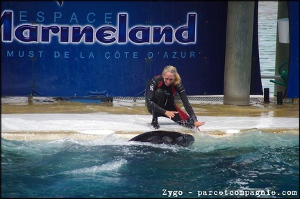 Marineland - Orques - Spectacle - 14h45 - 0796